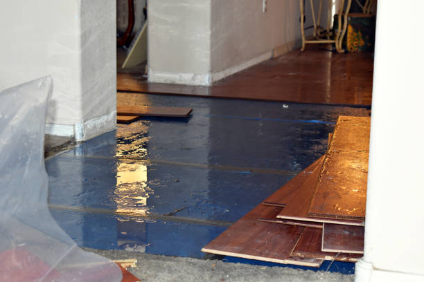 Professional Flood Damage Repair technician working in Rushville, IL